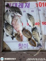 [통영] 통영현대레저)무뉘 갑오징어 돌문어 3종셋트 사진