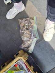 9월11일출조조항 사진