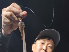 무늬팁런 151수 게속해서 3자리 이상 달리중 사진