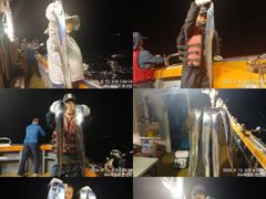 (뉴~패밀리호) 백도권 마릿수 쿨러 조황입니다. 사진