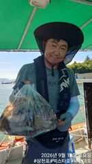 [사천] 빅스타호 12일 문어 호조황입니다 사진