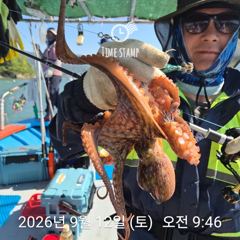 [사천] 문어 장원 17마리 사진