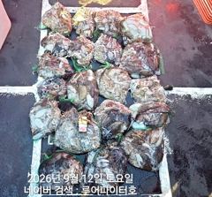 루어파이터호-9/12 토 [8물] 쭈/갑 조항 입니다. 사진