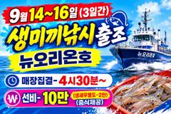 <발키리호> 쭈꾸미 오후 마무리 조황(12일)-내일 쭈꾸미 종일,오후 자리있습니다. 사진