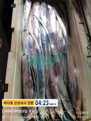 [[대림낚시바다호]] 왕갈치 출조 잡았다 대물~~ 감사합니다 사진