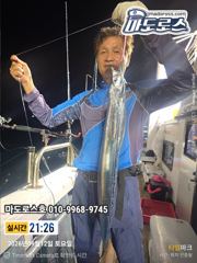 갈치한치조황++ - 실시간 텐빈! 내일 출항확정 사진