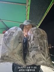 삼천포 문어 대박조황! 주간반, 야간반 매일출조! 사진