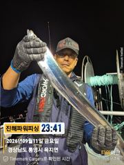 [갈치/텐빈/텐야]긴휴식끝~2.5~3지오버까지 쿨러조황까지[월.화]예약가능 사진