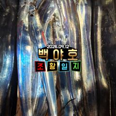 9.12 제주백야호 선상 갈치 조황 사진