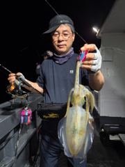 9월12일 무늬오징어 조황입니다~ 사진