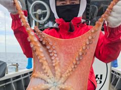 대박호 문어 조황입니다 사진