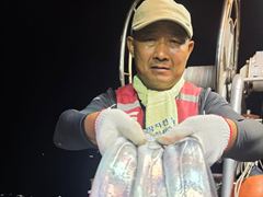 [진해] 아폴로깊은장 풀치속에대치들이보이네요/낼예약가능 사진