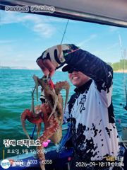 싸이즈 굳 돌문어 쭉~욱 사진