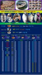 ♥붉바리들..이정도는 잡아봐야지요 초대박 붉바리조황입니다[2026년09월13일 ] ◎ 해마루호가 뜨는이유? 조황때문이죠 ◎ 핵심포인트: 바로진입.. 바로히트.. ◎ 차원이 다른 조황으로 모십니다 ▣ 요즘 붉바리낚시가 대세입니다 사진