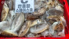 스페이스호 9월13일 갑오징어 조황 입니다 사진
