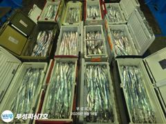 [부성피싱]먼바다 왕칼치 오늘도 다녀왔습니다 쿨러가득...쿨러조황!!내일 화요일 예약가능 사진