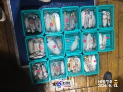 씨알굿 사진