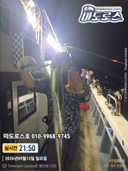 [거제] 텐야텐빈 오늘의조황입니다 사진