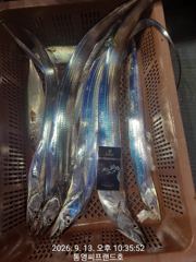 [통영] 대박...대박입니다. 초저녁부터 꾸준한 입질이 사고를 쳤습니다.… 사진