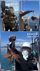 [통영] 통영] 문어 사량도 굴어장 조황 13일(일) 통영 메티스호 사진