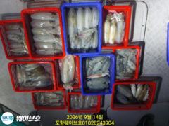 13일웨이브호1키로400무늬팁런 사진