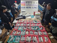 [영덕] 강구 인스타피싱 ~~ 무늬오징어 무시가 제법 나왔네요.. 오늘 … 사진