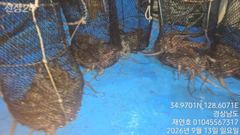 [마산] 야간돌문어 우당탕 한타임후 키로오버로 마무리 거뜬히 세자리수오버 사진