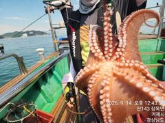 14일세진호/돌문어2kg.중치들마릿수~화.가능~ 사진