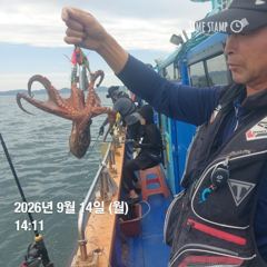 포항 종방) 제2대일호 9월 14일 사진