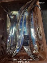 현재 실시간 동영상..역시 박선장님 최고 입니다..씨알좋고 마릿수 좋고..내일 자리여유 사진