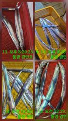 대박조항 만쿨 사진