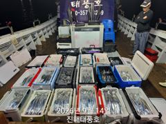 14일 입항 내만갈치 정신없이 바쁘게 잡았습니다. 화요일부터 예약가능. 사진