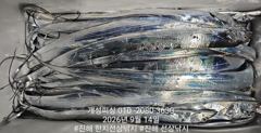 준내만 4지급 텐빈 은빛 갈치 쿨러 가득 조황!! 화요일부터 예약가능~ 사진