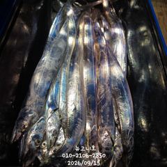 먼바다 갈치 만쿨!!!기회는 오늘 하루뿐!!! 사진