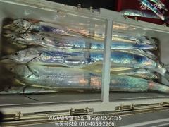 녹동금강호16석 먼바다 1인2쿨러왕갈치만쿨조항 오늘자리여유있읍니다 010-4058-2266 사진