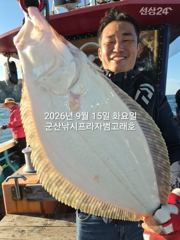 9월15일 연일 대광어~오늘도 나오고 있어요~참돔,우럭등 다양한 손맛~마릿수조황~실시간~내일도 갑니다~ 군산낚시프라자 범고래호 사진