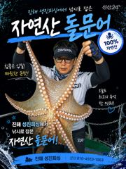 꾸준하게 올라오는 야간~돌문어 잡으러 출조 갑니다 @ 오늘~예약가능 사진