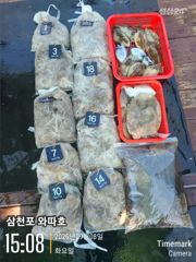 내일 쭈꾸미 출조합니다 자리여유 있습니다 사진