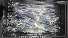 은빛 텐빈 내만갈치 느나느나 조황 오늘 무조건 출항 자리여유많음 사진