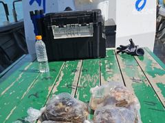 [사천] 쭈꾸미 베리굿 사진