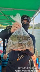 [사천] 빅스타호 돌문어 Nice 조황입니다 금토자리여유 사진