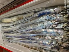 [여수,광양] [여수해호낚시] 전원 얼음 녹여가며 쿨러 채워 왔습니다. 사진