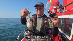 루어파이터호-9/16 수 [12물] 쭈꾸미/갑오징어 조항 입니다. 사진