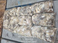 군산 대호피싱 쭈꾸미 대박치고 입항 했습니다 10분 모두 망탱이 빵팡하게 잡았네요 사진