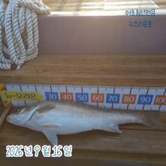<뉴오리온호> 생미끼낚시에 101cm 대물농어 출현(16일) 사진