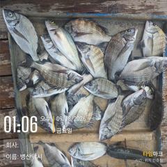 병산 감성돔38외 농어 수어 마리수 선상배 및 선외기흘림조황~~ 사진