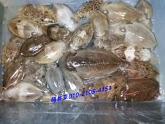 26년9월18일조황 사진