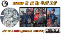 9/18 금 [조금] 쭈꾸미/갑오징어 조항 입니다. 사진