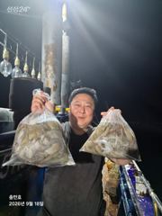 [고흥,녹동] 6시간야간문어조황 대박!!!! 사진