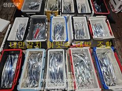 [진해] 은빛 내만 갈치 텐빈 느나느나 조황 오늘 무조건 출항 자리여유 사진